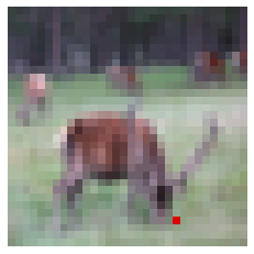 _images/02-one-pixel-attack_17_1.png